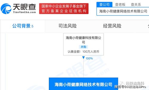 字節(jié)跳動(dòng)拓展健康版圖 海南小荷健康網(wǎng)絡(luò)公司成立，新增食品與互聯(lián)網(wǎng)銷售業(yè)務(wù)